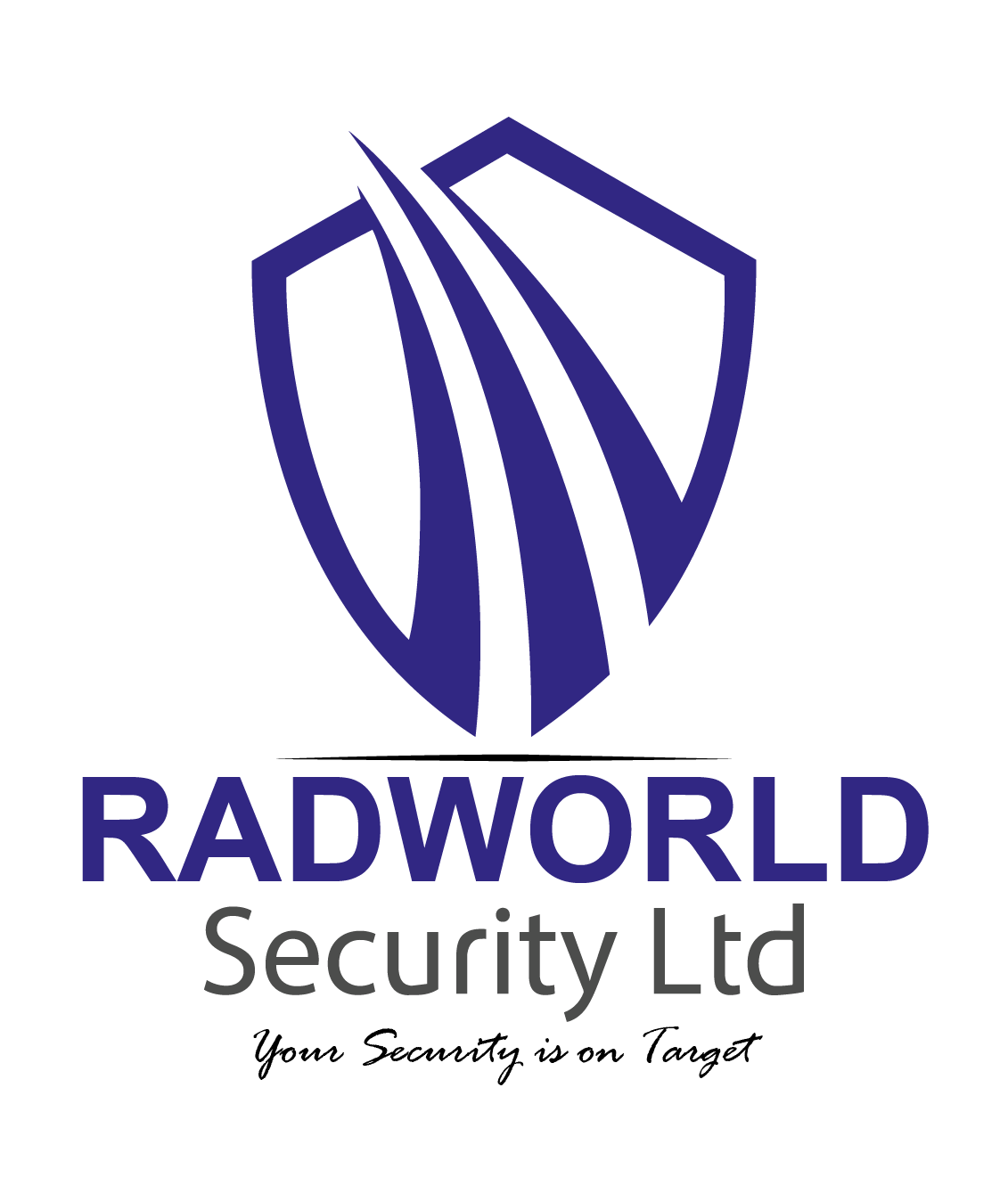 Security professional guarding VIP client